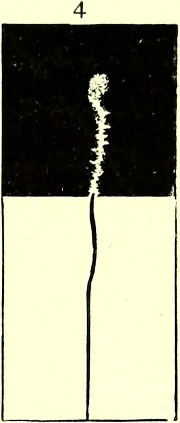 An illustration from Spectrum analysis in its application to terrestrial substances, and the physical constitution of the heavenly bodies / familiarly explained by H. Schellen ; translated from the second enlarged and revised German edition by Jane and Caroline Lassell ; edited with notes by William Huggins ; with numerous woodcuts and coloured plates, and Ångström's and Kirchhoff's maps., 1872, leaf 497
