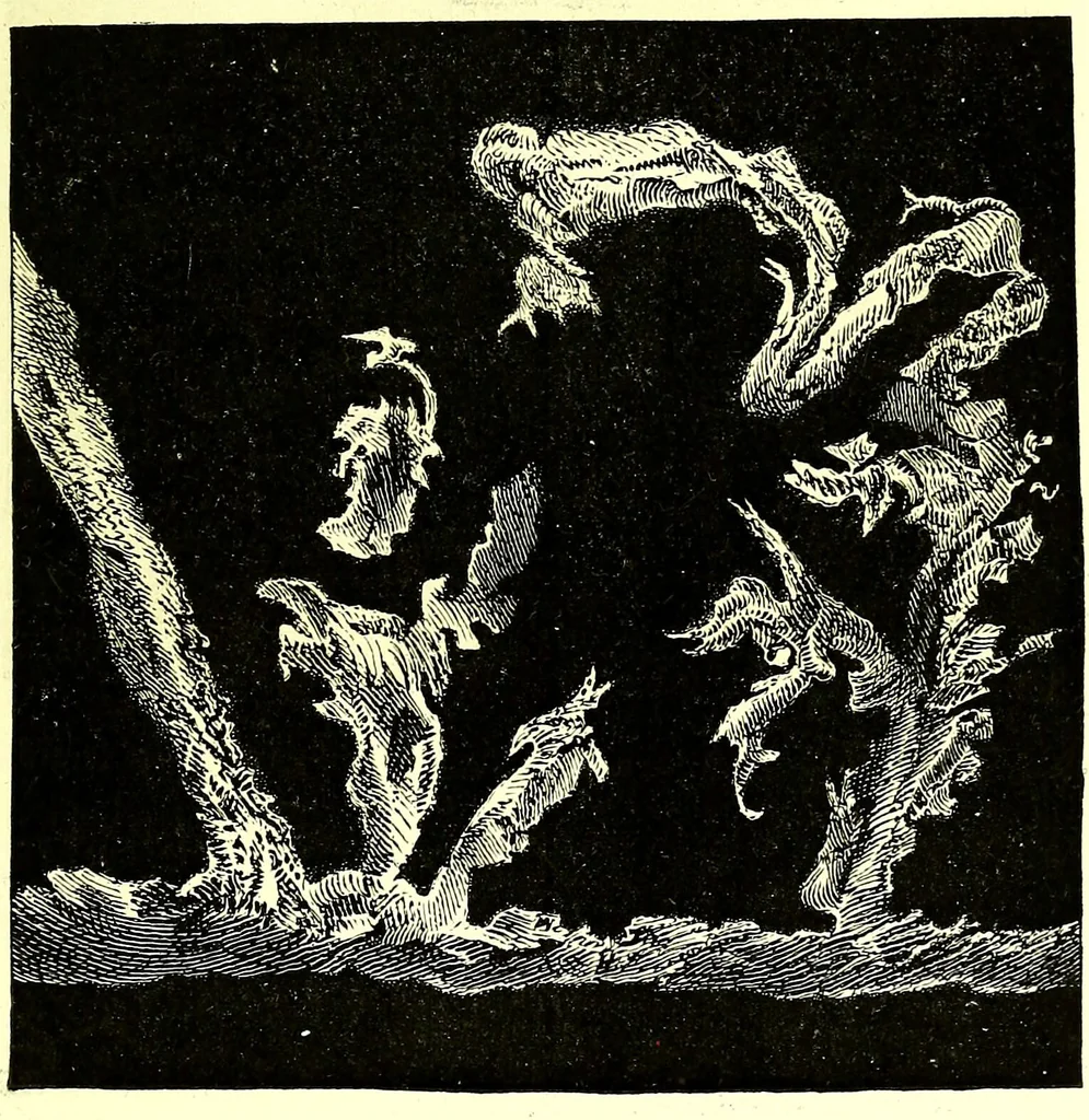 An illustration from Spectrum analysis in its application to terrestrial substances, and the physical constitution of the heavenly bodies / familiarly explained by H. Schellen ; translated from the second enlarged and revised German edition by Jane and Caroline Lassell ; edited with notes by William Huggins ; with numerous woodcuts and coloured plates, and Ångström's and Kirchhoff's maps., 1872, leaf 501