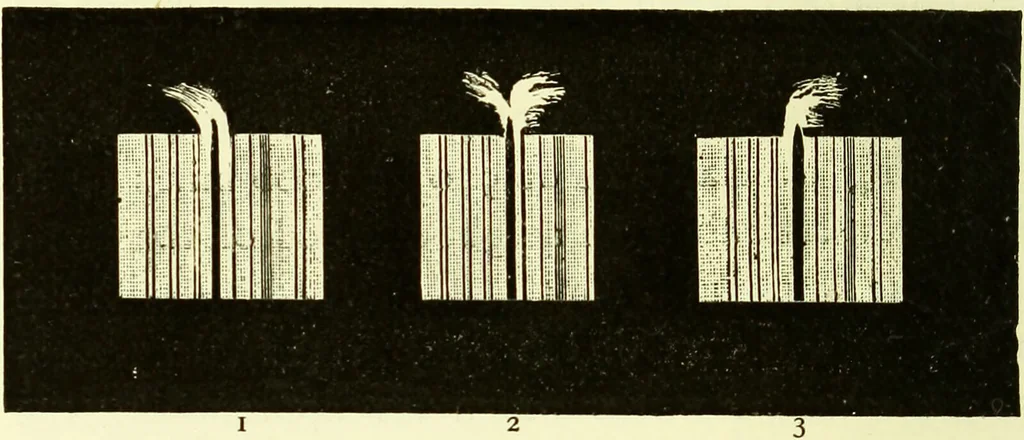 An illustration from Spectrum analysis in its application to terrestrial substances, and the physical constitution of the heavenly bodies / familiarly explained by H. Schellen ; translated from the second enlarged and revised German edition by Jane and Caroline Lassell ; edited with notes by William Huggins ; with numerous woodcuts and coloured plates, and Ångström's and Kirchhoff's maps., 1872, leaf 520