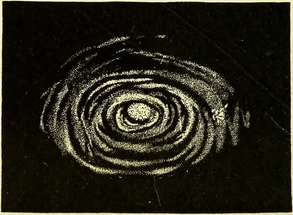 An illustration from Spectrum analysis in its application to terrestrial substances, and the physical constitution of the heavenly bodies / familiarly explained by H. Schellen ; translated from the second enlarged and revised German edition by Jane and Caroline Lassell ; edited with notes by William Huggins ; with numerous woodcuts and coloured plates, and Ångström's and Kirchhoff's maps., 1872, leaf 604