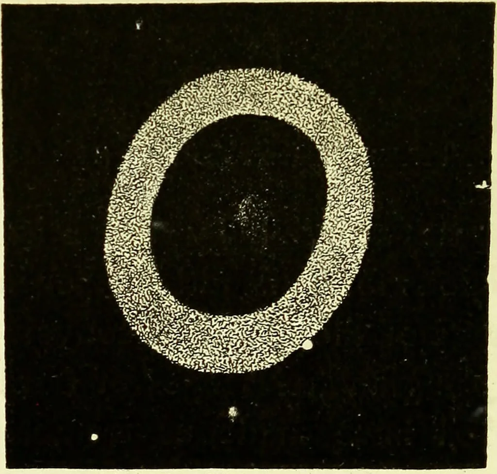 An illustration from Spectrum analysis in its application to terrestrial substances, and the physical constitution of the heavenly bodies / familiarly explained by H. Schellen ; translated from the second enlarged and revised German edition by Jane and Caroline Lassell ; edited with notes by William Huggins ; with numerous woodcuts and coloured plates, and Ångström's and Kirchhoff's maps., 1872, leaf 604