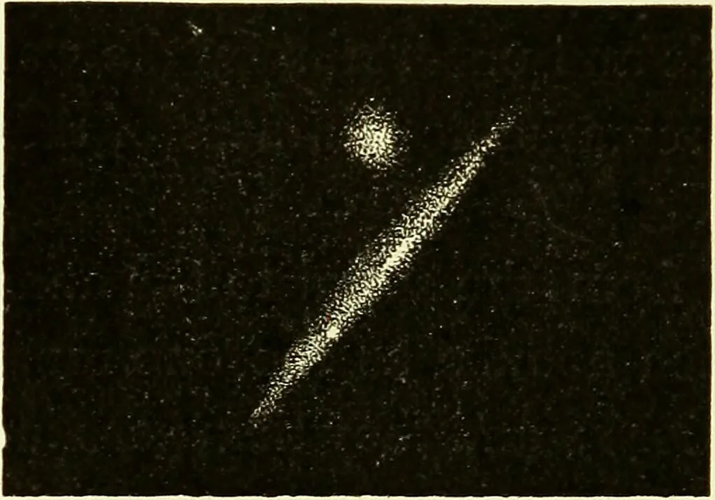 An illustration from Spectrum analysis in its application to terrestrial substances, and the physical constitution of the heavenly bodies / familiarly explained by H. Schellen ; translated from the second enlarged and revised German edition by Jane and Caroline Lassell ; edited with notes by William Huggins ; with numerous woodcuts and coloured plates, and Ångström's and Kirchhoff's maps., 1872, leaf 606