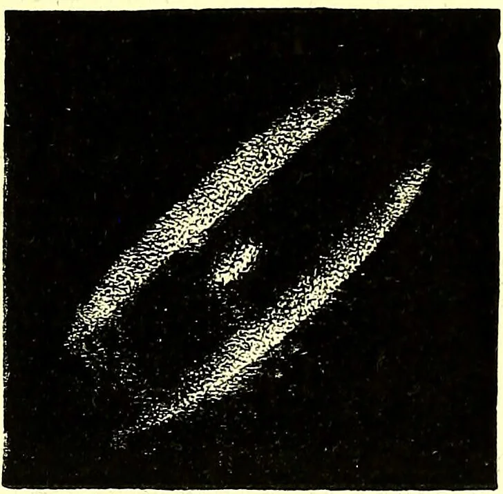 An illustration from Spectrum analysis in its application to terrestrial substances, and the physical constitution of the heavenly bodies / familiarly explained by H. Schellen ; translated from the second enlarged and revised German edition by Jane and Caroline Lassell ; edited with notes by William Huggins ; with numerous woodcuts and coloured plates, and Ångström's and Kirchhoff's maps., 1872, leaf 607