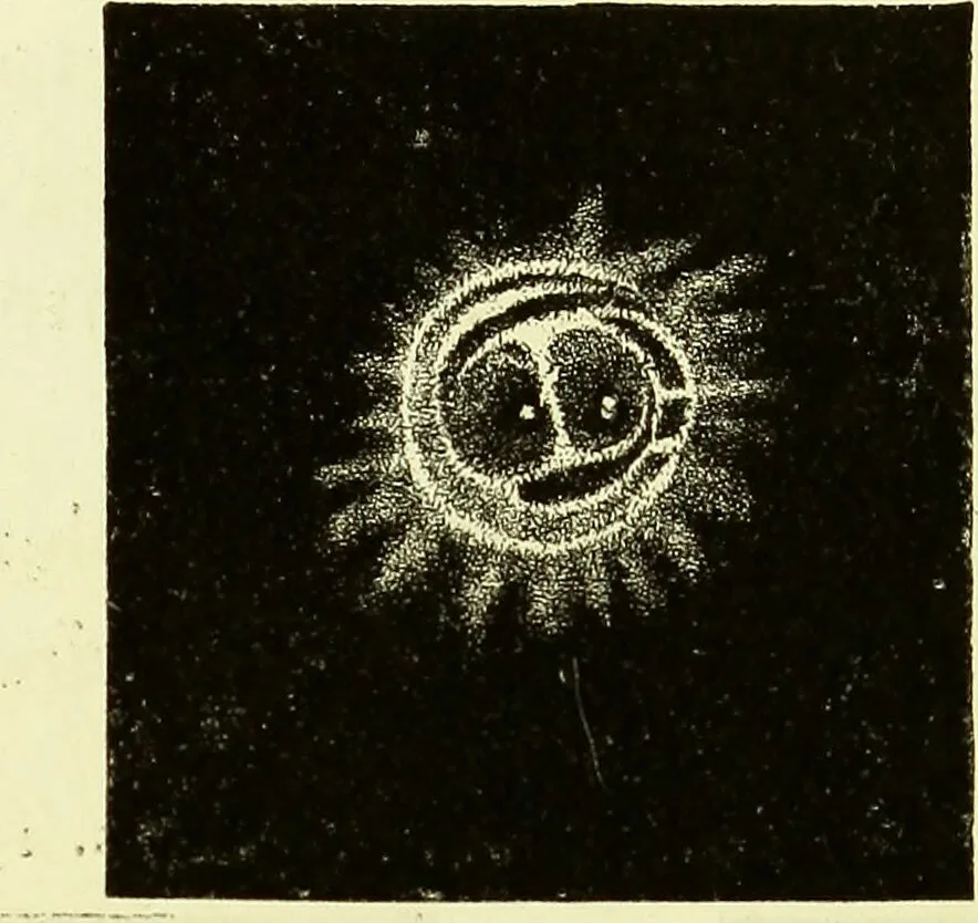An illustration from Spectrum analysis in its application to terrestrial substances, and the physical constitution of the heavenly bodies / familiarly explained by H. Schellen ; translated from the second enlarged and revised German edition by Jane and Caroline Lassell ; edited with notes by William Huggins ; with numerous woodcuts and coloured plates, and Ångström's and Kirchhoff's maps., 1872, leaf 608