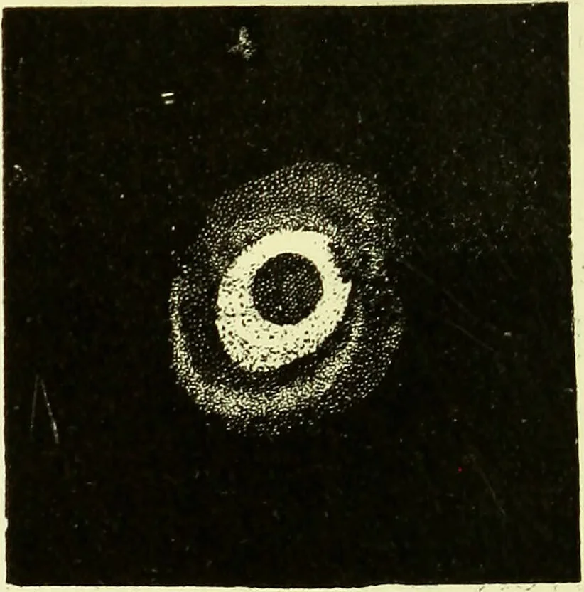 An illustration from Spectrum analysis in its application to terrestrial substances, and the physical constitution of the heavenly bodies / familiarly explained by H. Schellen ; translated from the second enlarged and revised German edition by Jane and Caroline Lassell ; edited with notes by William Huggins ; with numerous woodcuts and coloured plates, and Ångström's and Kirchhoff's maps., 1872, leaf 608