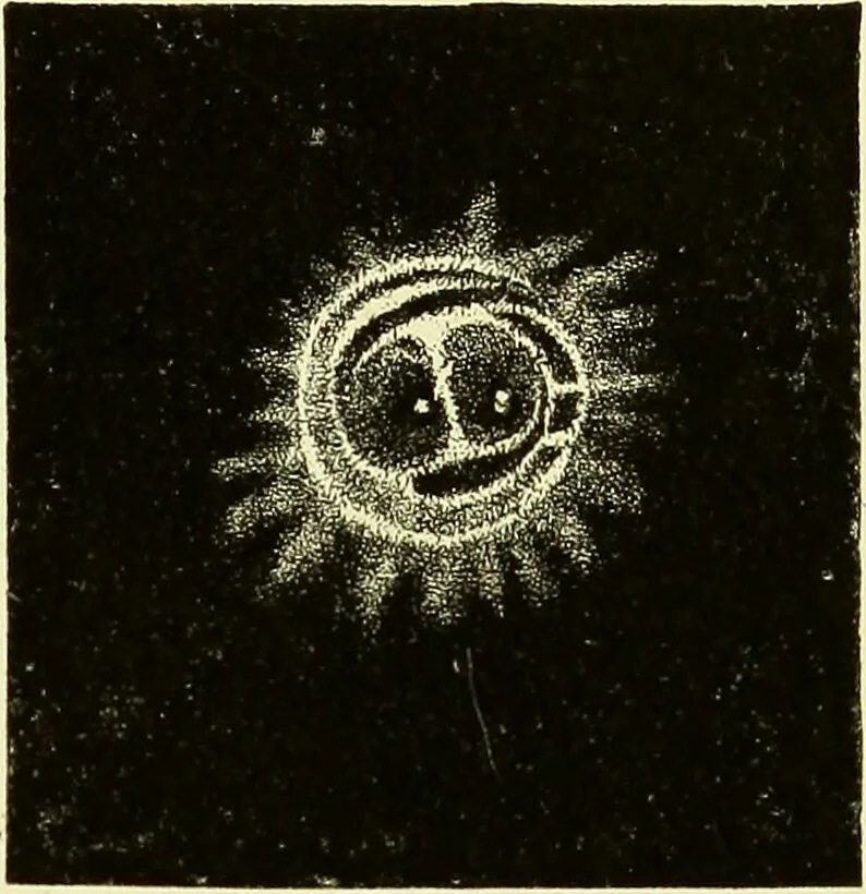 An illustration from Spectrum analysis in its application to terrestrial substances, and the physical constitution of the heavenly bodies / familiarly explained by H. Schellen ; translated from the second enlarged and revised German edition by Jane and Caroline Lassell ; edited with notes by William Huggins ; with numerous woodcuts and coloured plates, and Ångström's and Kirchhoff's maps., 1872, leaf 608