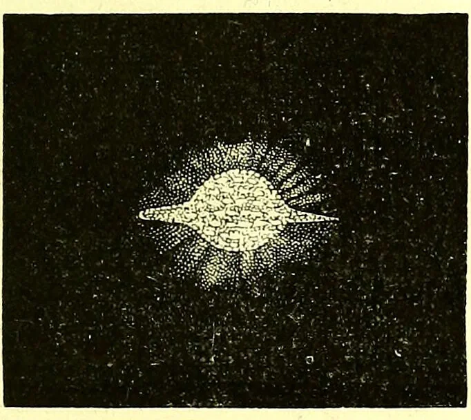 An illustration from Spectrum analysis in its application to terrestrial substances, and the physical constitution of the heavenly bodies / familiarly explained by H. Schellen ; translated from the second enlarged and revised German edition by Jane and Caroline Lassell ; edited with notes by William Huggins ; with numerous woodcuts and coloured plates, and Ångström's and Kirchhoff's maps., 1872, leaf 609