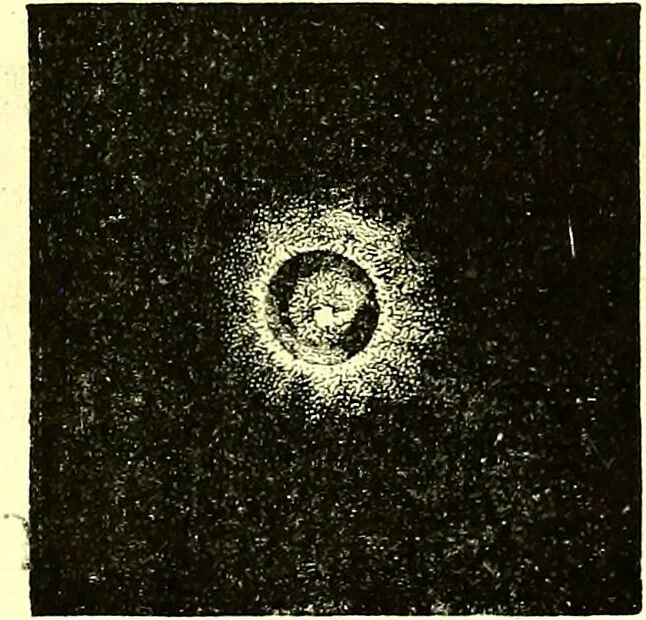 An illustration from Spectrum analysis in its application to terrestrial substances, and the physical constitution of the heavenly bodies / familiarly explained by H. Schellen ; translated from the second enlarged and revised German edition by Jane and Caroline Lassell ; edited with notes by William Huggins ; with numerous woodcuts and coloured plates, and Ångström's and Kirchhoff's maps., 1872, leaf 609
