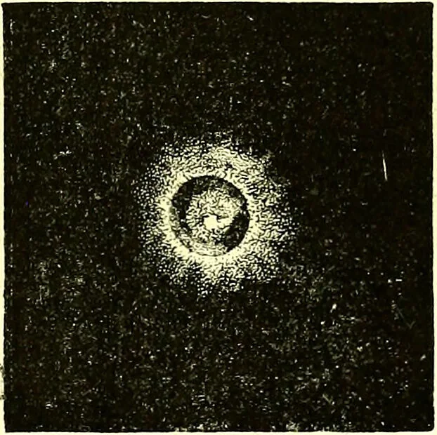 An illustration from Spectrum analysis in its application to terrestrial substances, and the physical constitution of the heavenly bodies / familiarly explained by H. Schellen ; translated from the second enlarged and revised German edition by Jane and Caroline Lassell ; edited with notes by William Huggins ; with numerous woodcuts and coloured plates, and Ångström's and Kirchhoff's maps., 1872, leaf 609