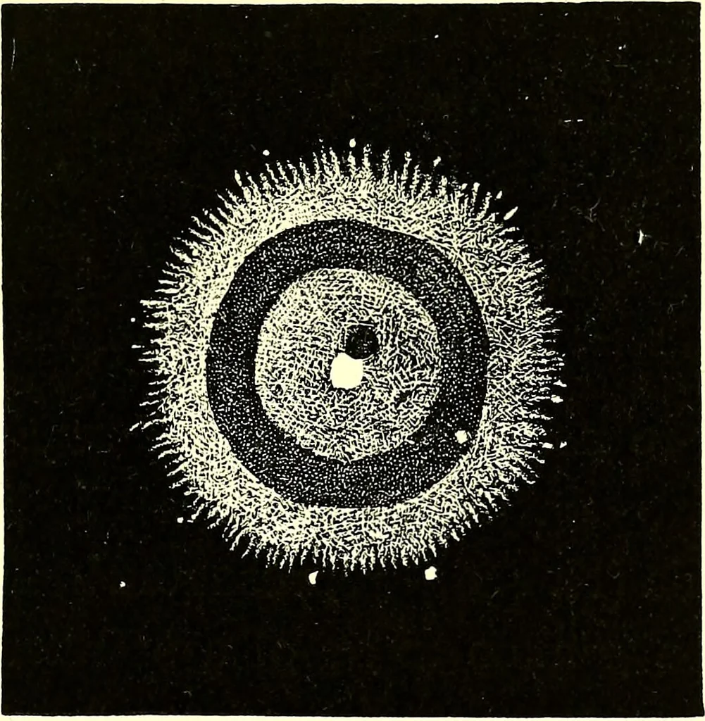 An illustration from Spectrum analysis in its application to terrestrial substances, and the physical constitution of the heavenly bodies / familiarly explained by H. Schellen ; translated from the second enlarged and revised German edition by Jane and Caroline Lassell ; edited with notes by William Huggins ; with numerous woodcuts and coloured plates, and Ångström's and Kirchhoff's maps., 1872, leaf 615