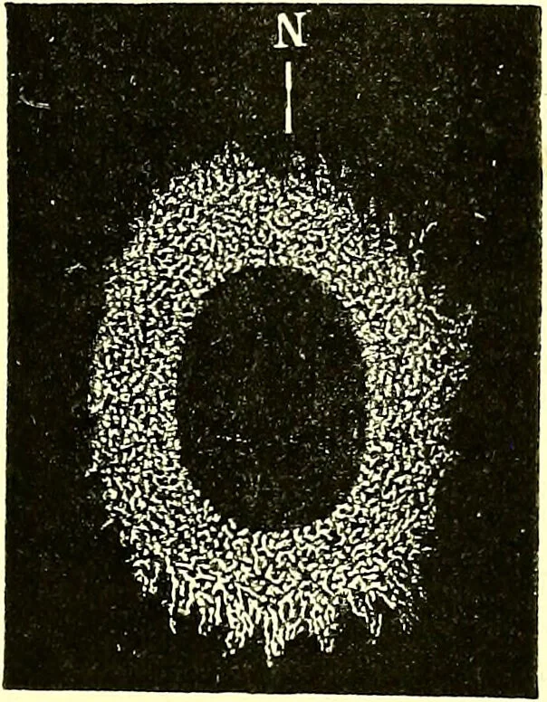 An illustration from Spectrum analysis in its application to terrestrial substances, and the physical constitution of the heavenly bodies / familiarly explained by H. Schellen ; translated from the second enlarged and revised German edition by Jane and Caroline Lassell ; edited with notes by William Huggins ; with numerous woodcuts and coloured plates, and Ångström's and Kirchhoff's maps., 1872, leaf 617