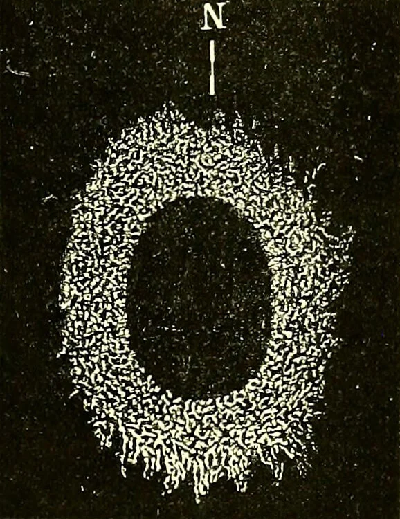 An illustration from Spectrum analysis in its application to terrestrial substances, and the physical constitution of the heavenly bodies / familiarly explained by H. Schellen ; translated from the second enlarged and revised German edition by Jane and Caroline Lassell ; edited with notes by William Huggins ; with numerous woodcuts and coloured plates, and Ångström's and Kirchhoff's maps., 1872, leaf 617