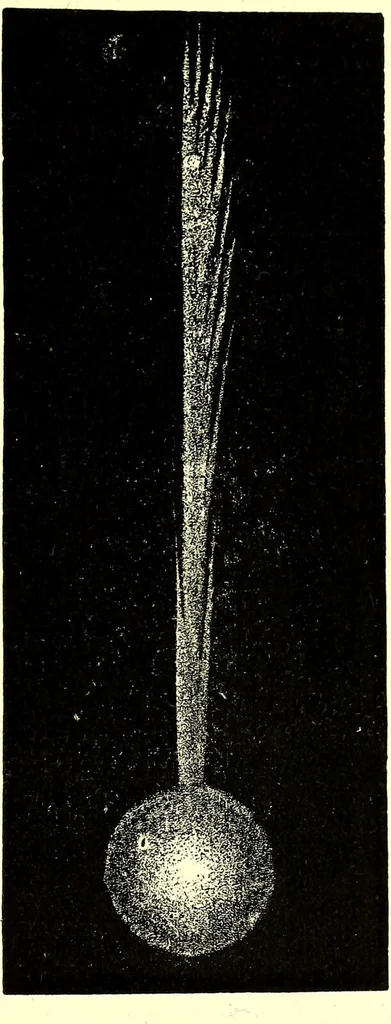 An illustration from Spectrum analysis in its application to terrestrial substances, and the physical constitution of the heavenly bodies / familiarly explained by H. Schellen ; translated from the second enlarged and revised German edition by Jane and Caroline Lassell ; edited with notes by William Huggins ; with numerous woodcuts and coloured plates, and Ångström's and Kirchhoff's maps., 1872, leaf 635