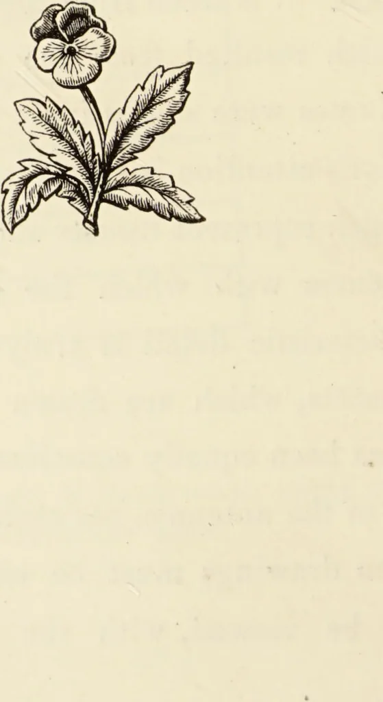 An illustration from Episodes of insect life / by Acheta Domestica, [pseud.] ;edited and revised by J.G. Wood., 1879, leaf 10