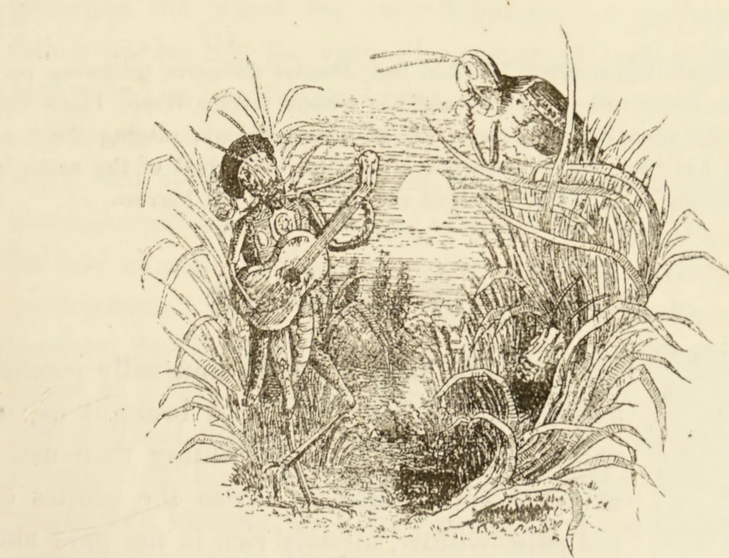 An illustration from Episodes of insect life / by Acheta Domestica, [pseud.] ;edited and revised by J.G. Wood., 1879, leaf 107