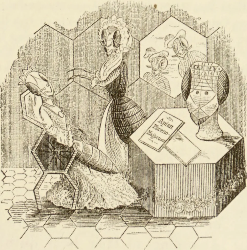 An illustration from Episodes of insect life / by Acheta Domestica, [pseud.] ;edited and revised by J.G. Wood., 1879, leaf 123