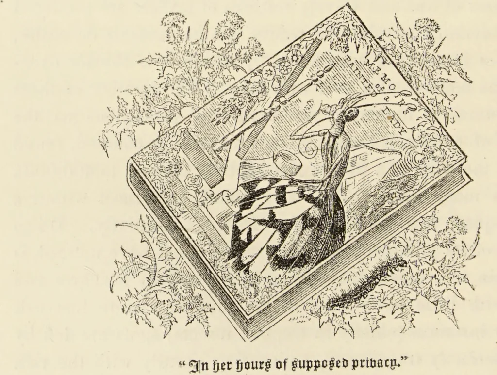 An illustration from Episodes of insect life / by Acheta Domestica, [pseud.] ;edited and revised by J.G. Wood., 1879, leaf 148