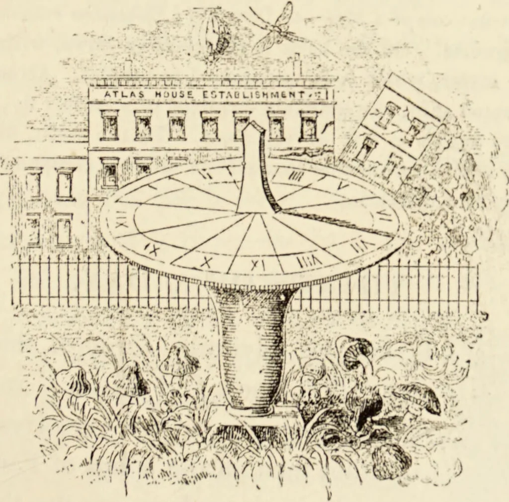 An illustration from Episodes of insect life / by Acheta Domestica, [pseud.] ;edited and revised by J.G. Wood., 1879, leaf 169