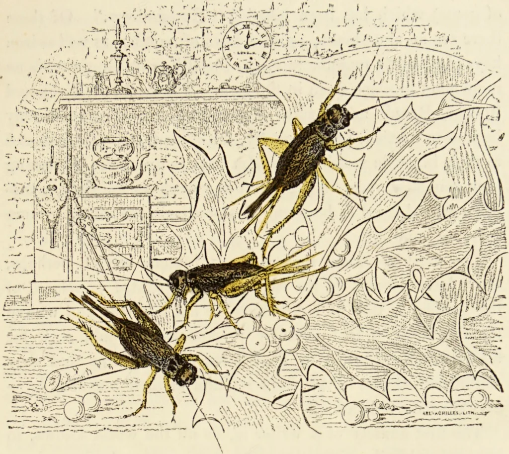 An illustration from Episodes of insect life / by Acheta Domestica, [pseud.] ;edited and revised by J.G. Wood., 1879, leaf 21