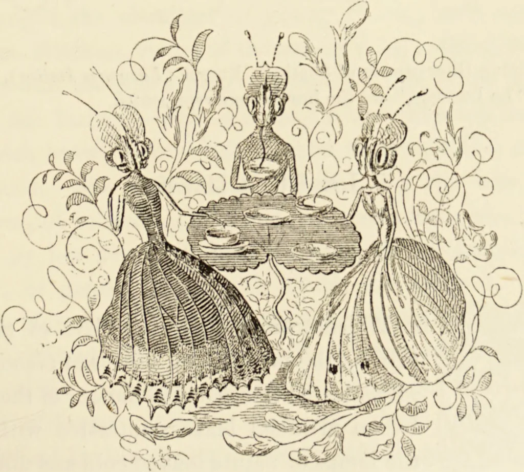 An illustration from Episodes of insect life / by Acheta Domestica, [pseud.] ;edited and revised by J.G. Wood., 1879, leaf 211