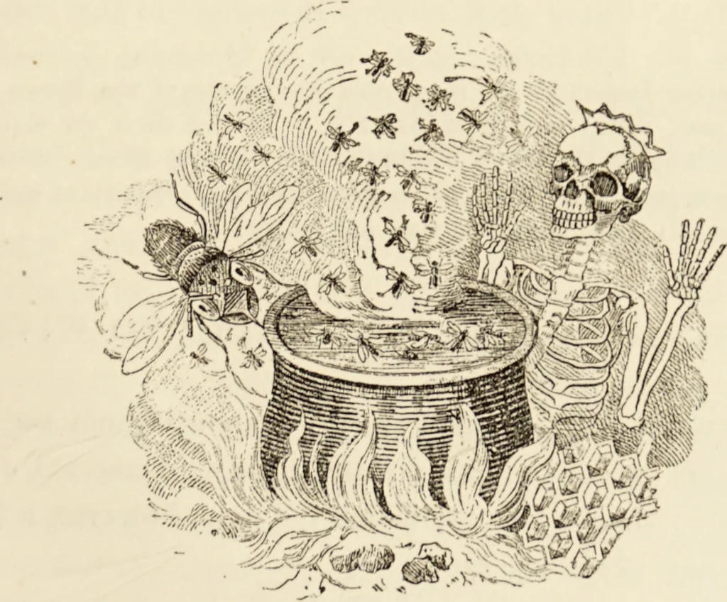 An illustration from Episodes of insect life / by Acheta Domestica, [pseud.] ;edited and revised by J.G. Wood., 1879, leaf 231