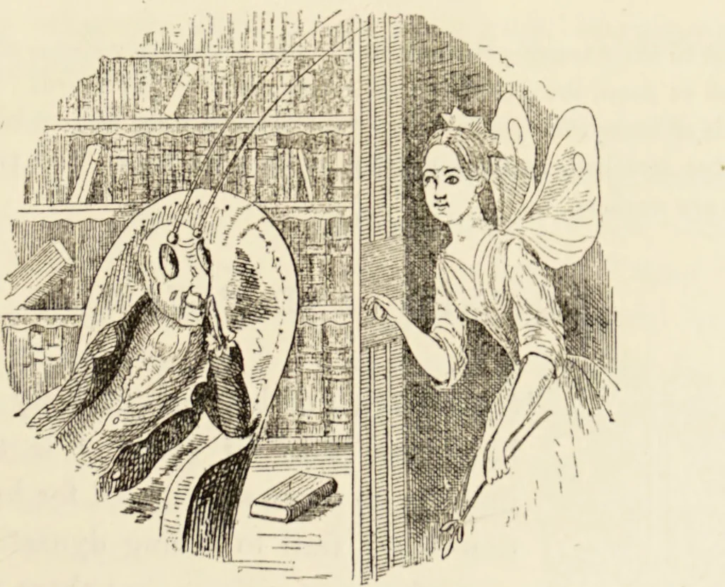 An illustration from Episodes of insect life / by Acheta Domestica, [pseud.] ;edited and revised by J.G. Wood., 1879, leaf 241