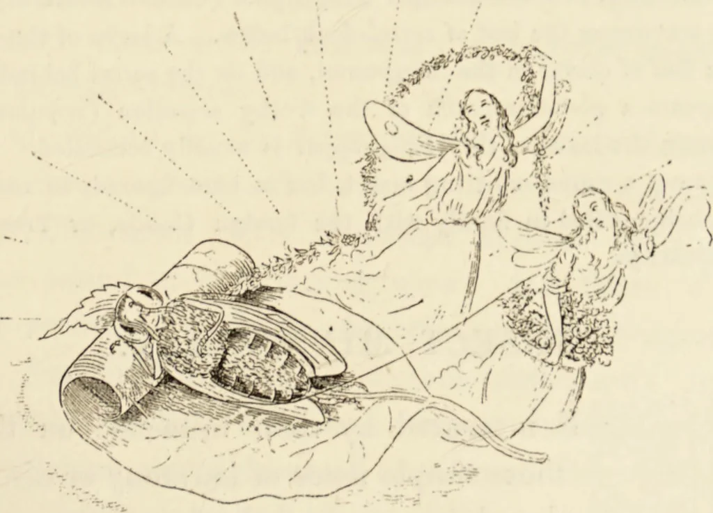 An illustration from Episodes of insect life / by Acheta Domestica, [pseud.] ;edited and revised by J.G. Wood., 1879, leaf 249