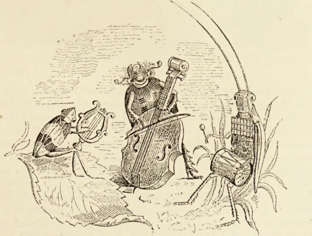An illustration from Episodes of insect life / by Acheta Domestica, [pseud.] ;edited and revised by J.G. Wood., 1879, leaf 257