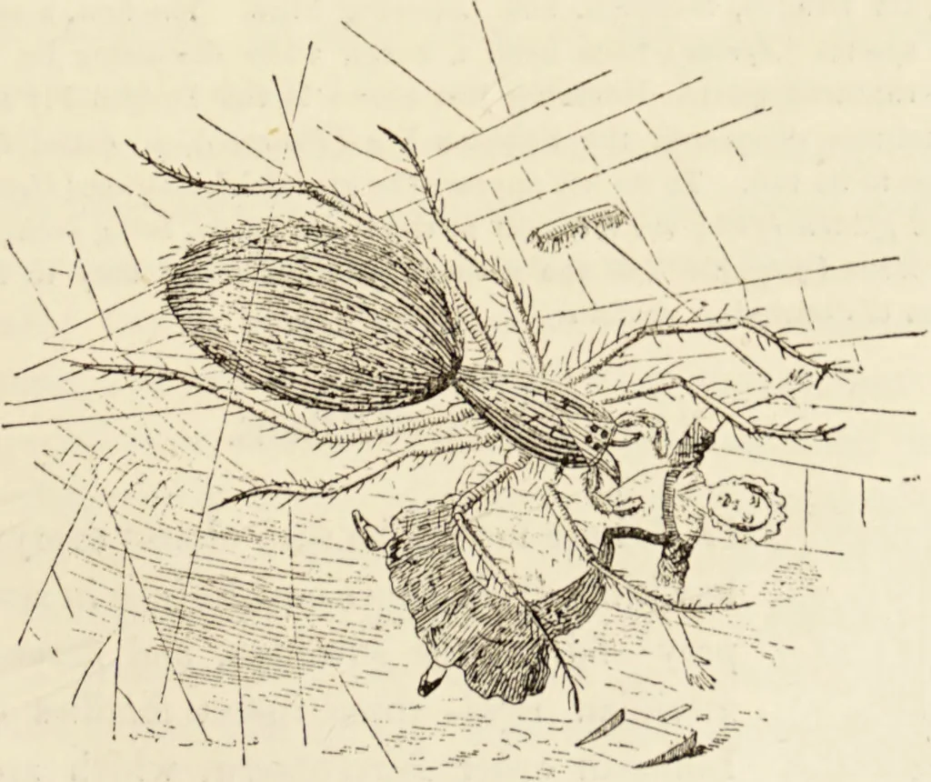 An illustration from Episodes of insect life / by Acheta Domestica, [pseud.] ;edited and revised by J.G. Wood., 1879, leaf 275