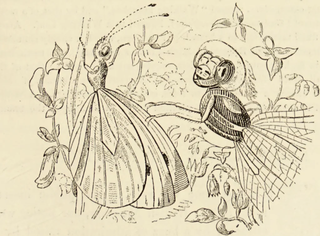 An illustration from Episodes of insect life / by Acheta Domestica, [pseud.] ;edited and revised by J.G. Wood., 1879, leaf 283