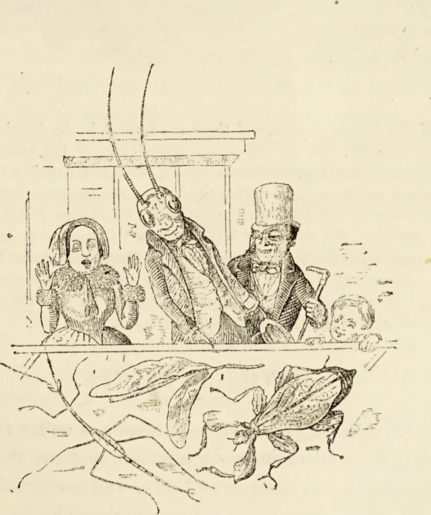 An illustration from Episodes of insect life / by Acheta Domestica, [pseud.] ;edited and revised by J.G. Wood., 1879, leaf 291