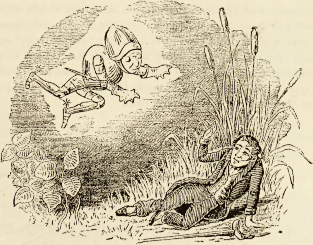 An illustration from Episodes of insect life / by Acheta Domestica, [pseud.] ;edited and revised by J.G. Wood., 1879, leaf 317