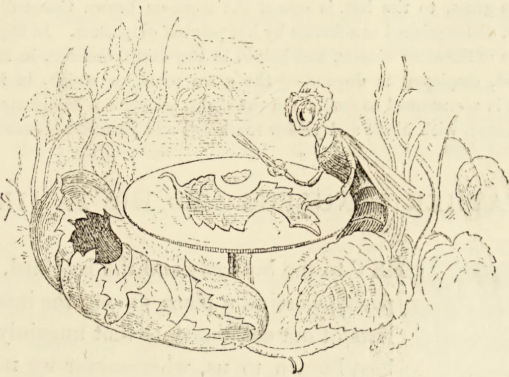 An illustration from Episodes of insect life / by Acheta Domestica, [pseud.] ;edited and revised by J.G. Wood., 1879, leaf 325