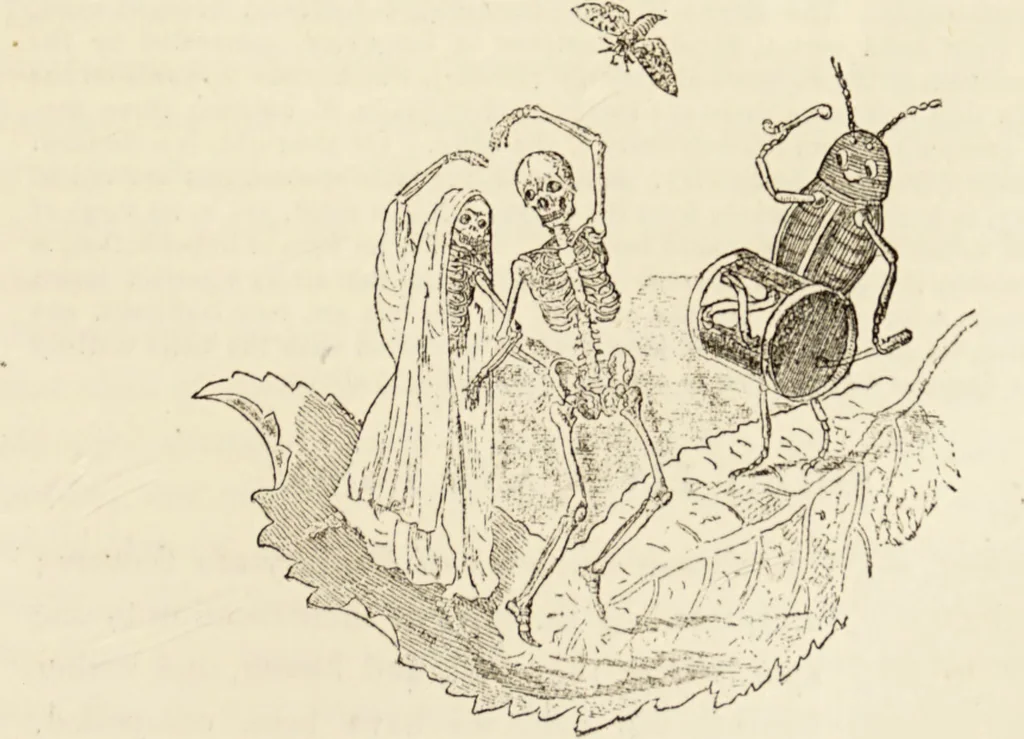 An illustration from Episodes of insect life / by Acheta Domestica, [pseud.] ;edited and revised by J.G. Wood., 1879, leaf 349