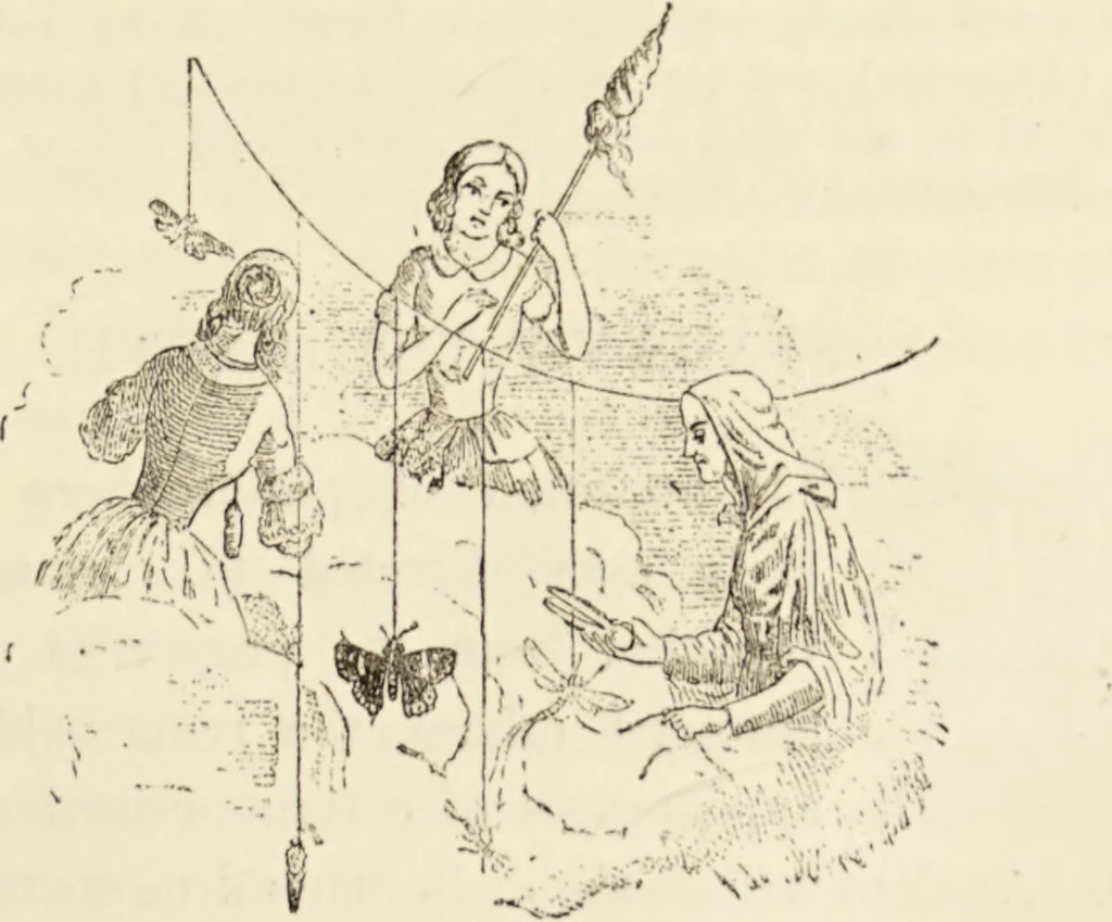 An illustration from Episodes of insect life / by Acheta Domestica, [pseud.] ;edited and revised by J.G. Wood., 1879, leaf 357