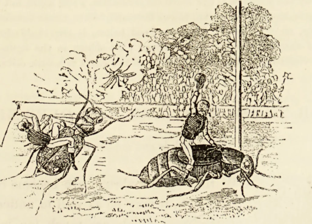 An illustration from Episodes of insect life / by Acheta Domestica, [pseud.] ;edited and revised by J.G. Wood., 1879, leaf 375