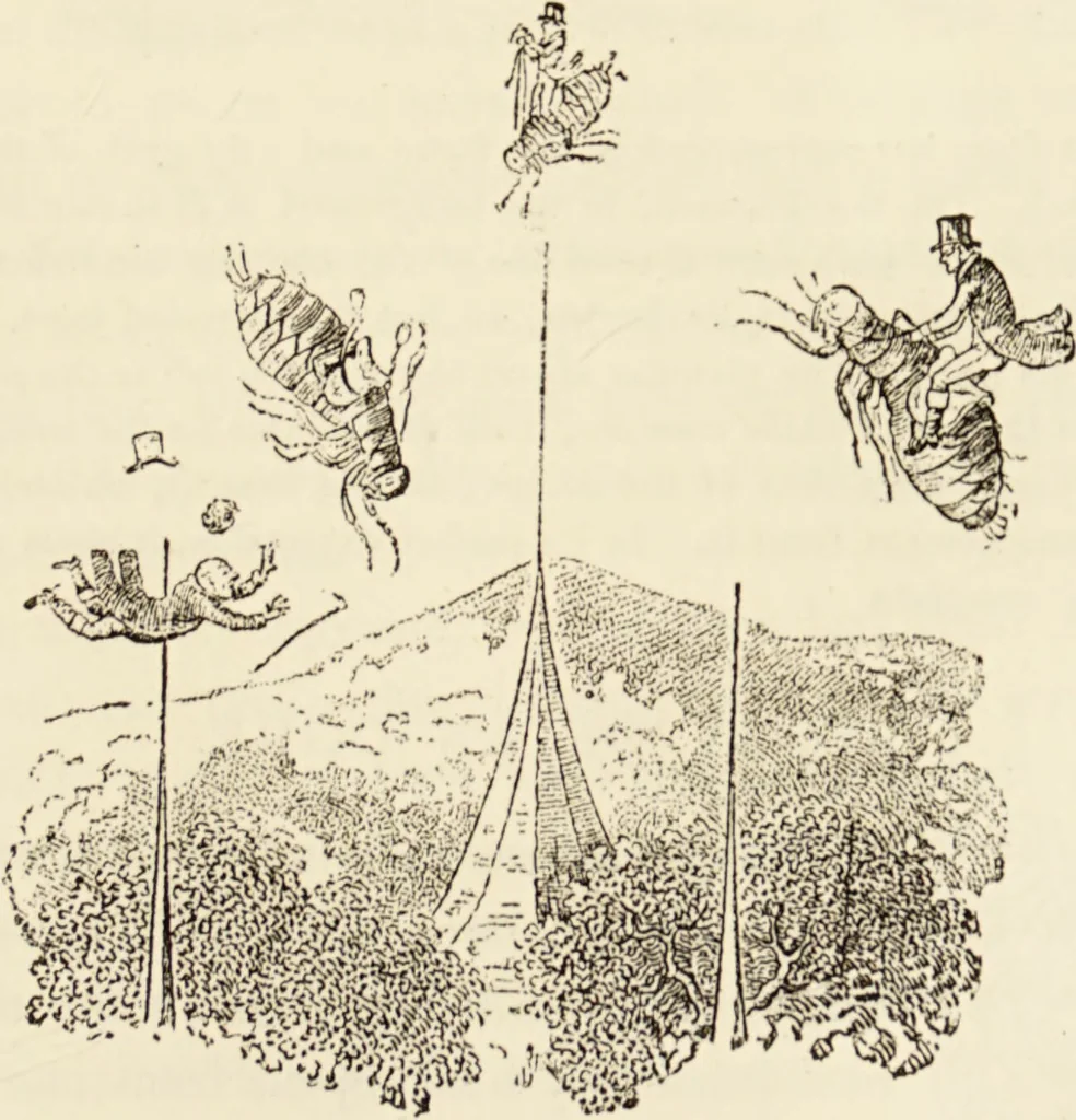 An illustration from Episodes of insect life / by Acheta Domestica, [pseud.] ;edited and revised by J.G. Wood., 1879, leaf 385