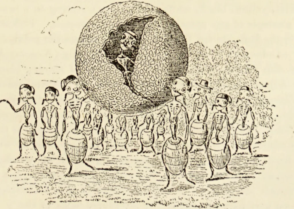 An illustration from Episodes of insect life / by Acheta Domestica, [pseud.] ;edited and revised by J.G. Wood., 1879, leaf 399