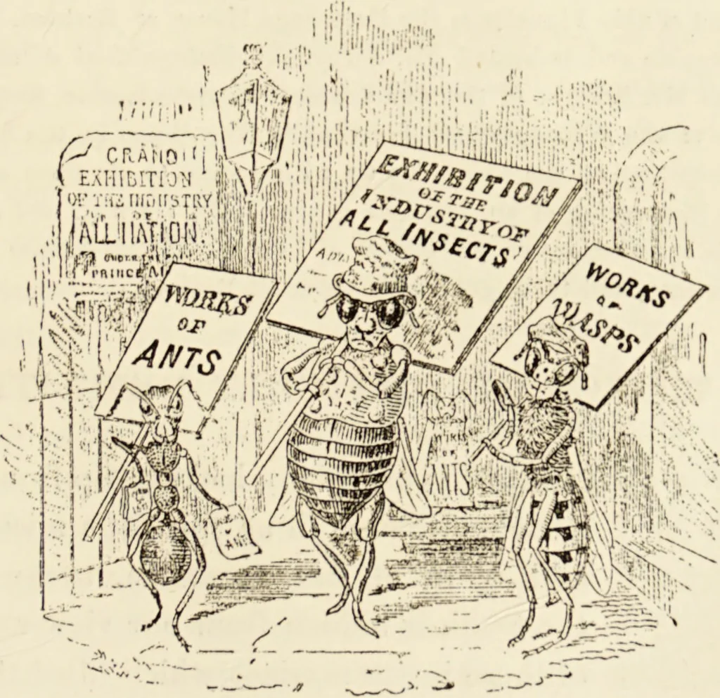 An illustration from Episodes of insect life / by Acheta Domestica, [pseud.] ;edited and revised by J.G. Wood., 1879, leaf 423