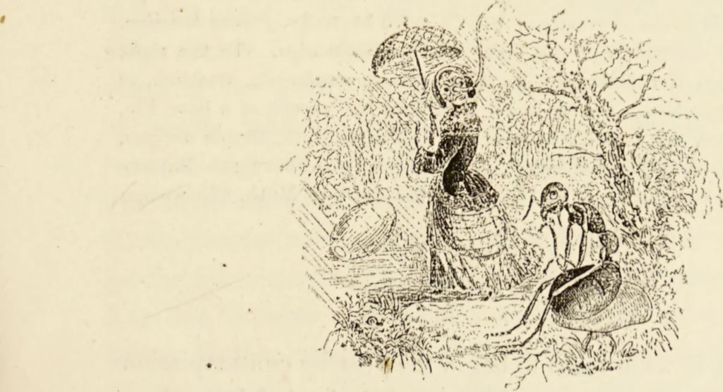 An illustration from Episodes of insect life / by Acheta Domestica, [pseud.] ;edited and revised by J.G. Wood., 1879, leaf 55