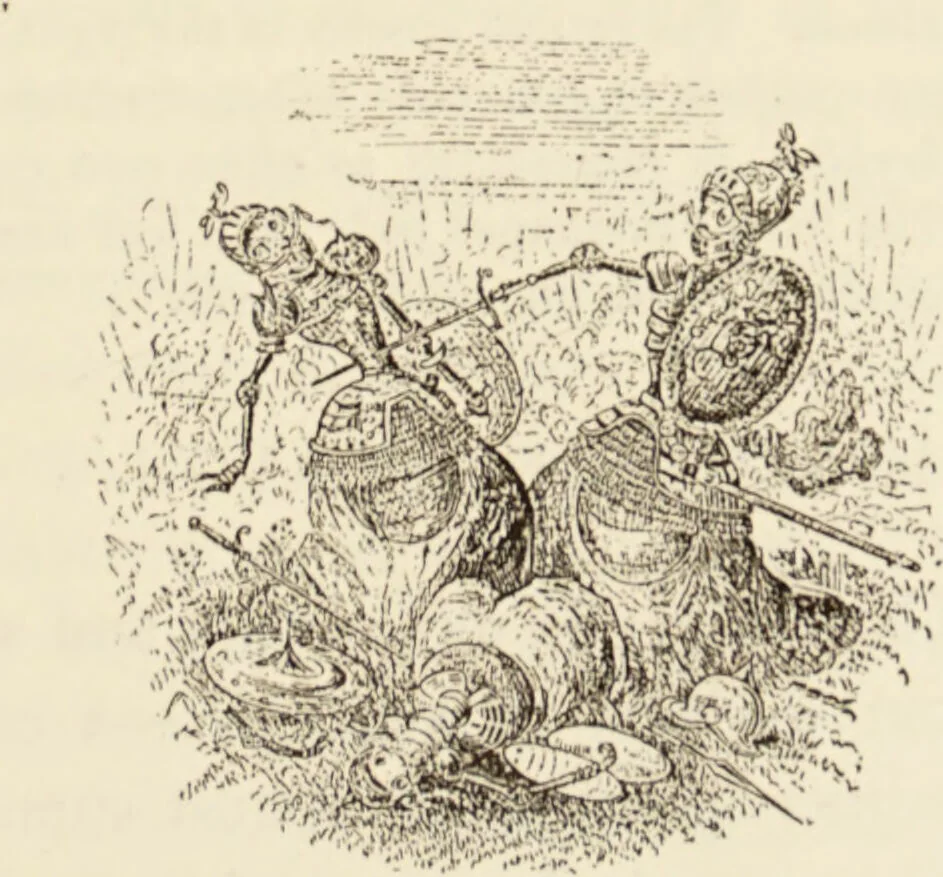 An illustration from Episodes of insect life / by Acheta Domestica, [pseud.] ;edited and revised by J.G. Wood., 1879, leaf 69