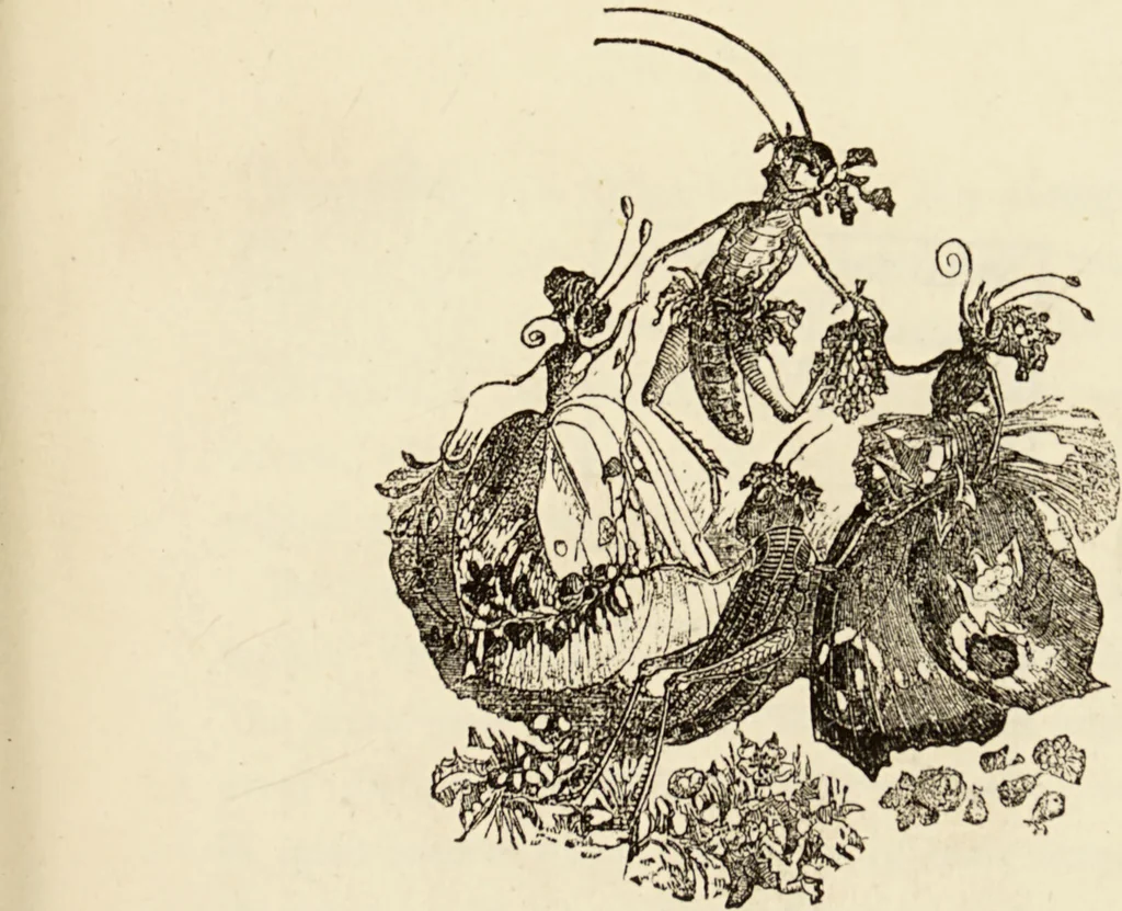 An illustration from Episodes of insect life / by Acheta Domestica, [pseud.] ;edited and revised by J.G. Wood., 1879, leaf 7