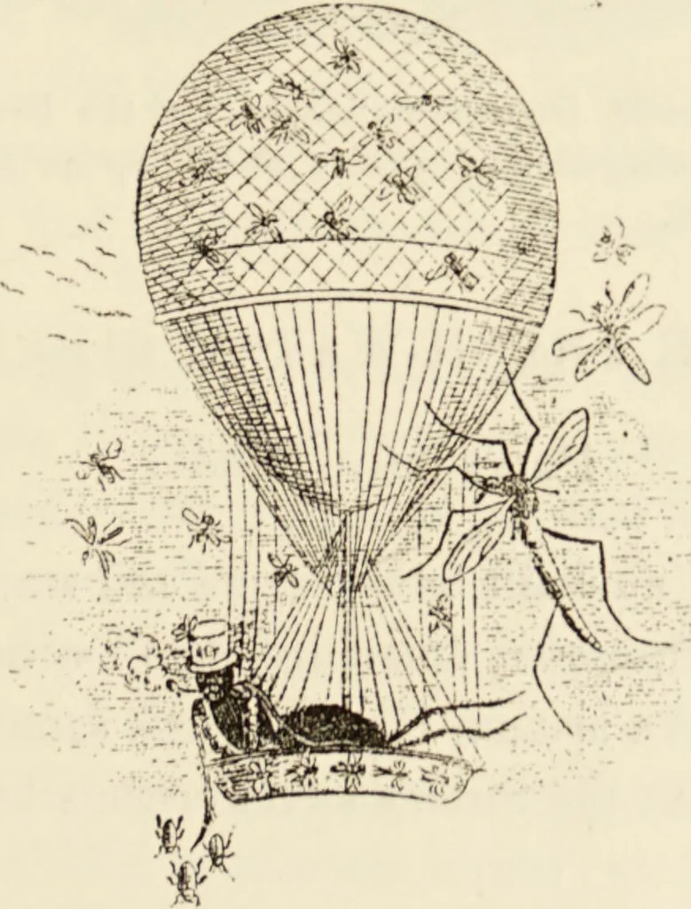 An illustration from Episodes of insect life / by Acheta Domestica, [pseud.] ;edited and revised by J.G. Wood., 1879, leaf 75
