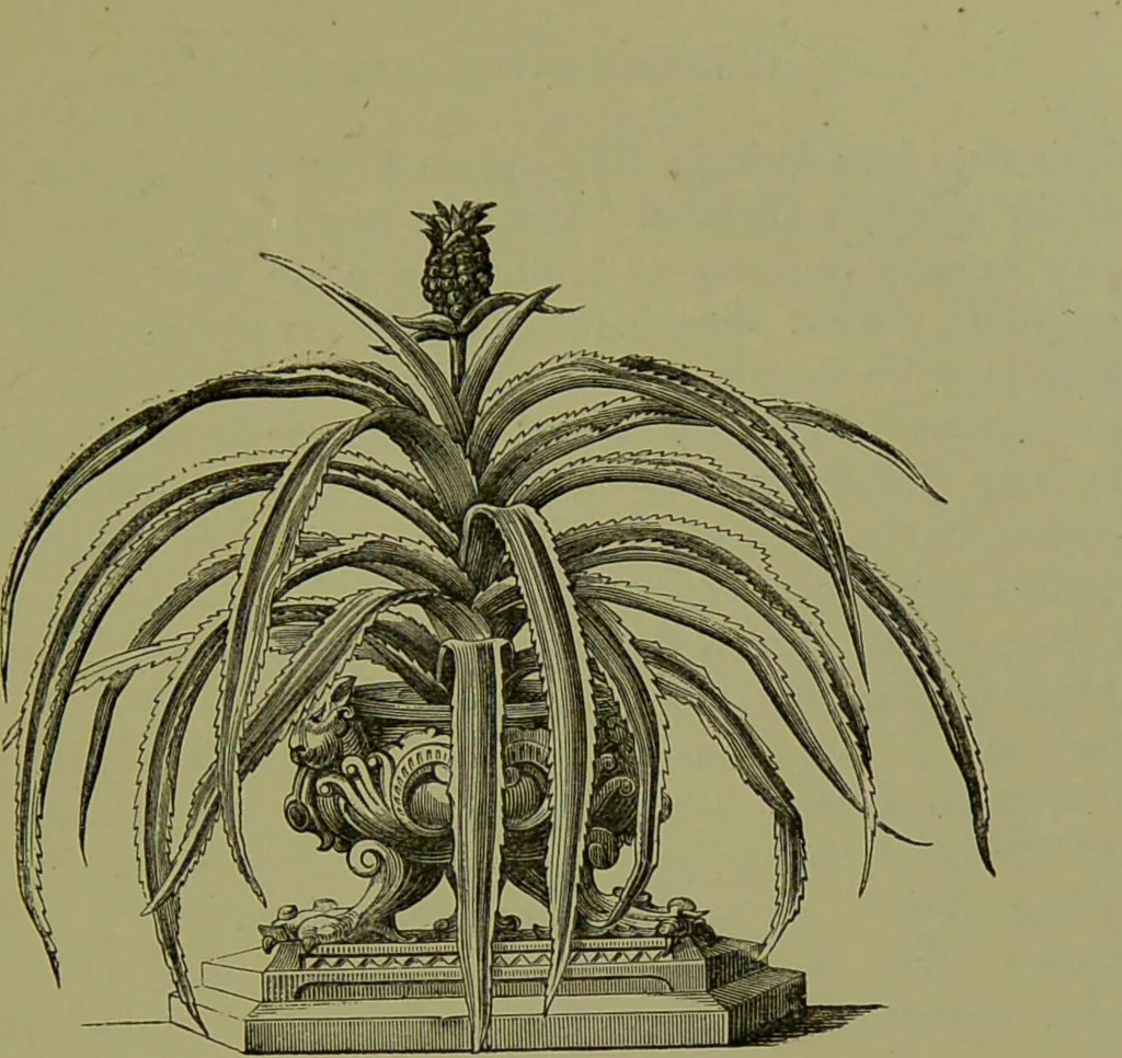 An illustration from Beautiful leaved plants : being a description of the most beautiful leaved plants in cultivation in this country, to which is added an extended catalogue / by E.J. Lowe ; assisted by W. Howard ; with sixty coloured illustrations., 1872, leaf 139