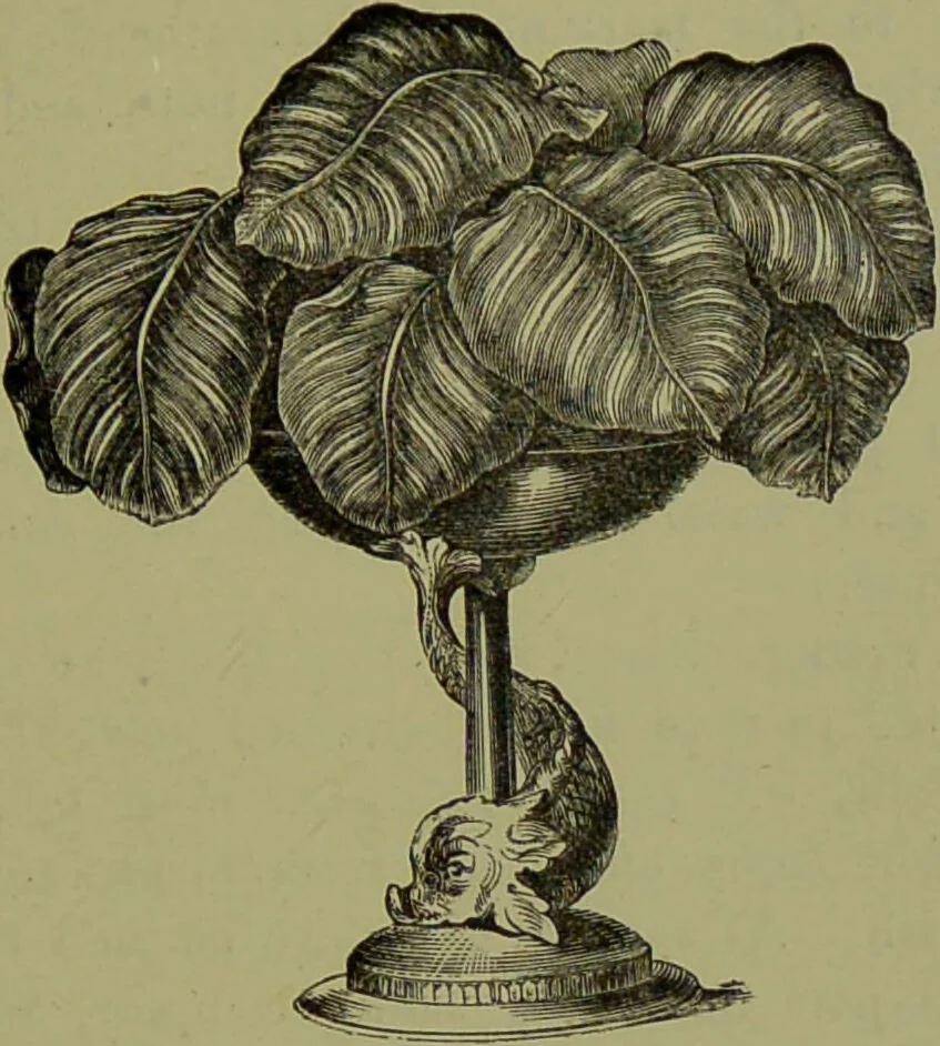 An illustration from Beautiful leaved plants : being a description of the most beautiful leaved plants in cultivation in this country, to which is added an extended catalogue / by E.J. Lowe ; assisted by W. Howard ; with sixty coloured illustrations., 1872, leaf 151