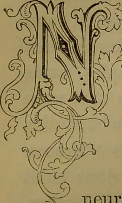 An illustration from The butterfly vivarium, or, Insect home: being an account of a new method of observing the curious metamorphoses of some of the most beautiful of our native insects. Comprising also a popular description of the habits and instincts of many of the insects of the various classes referred to; with suggestions for the successful study of entomology by means of an insect vivarium / by H. Noel Humphreys ... Illustrated with coloured engravings., 1858, leaf 238
