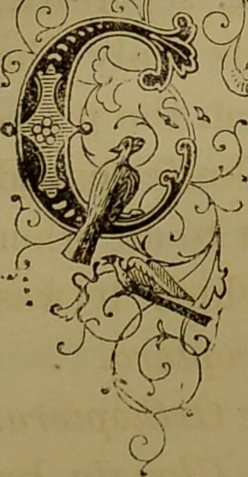 An illustration from The butterfly vivarium, or, Insect home: being an account of a new method of observing the curious metamorphoses of some of the most beautiful of our native insects. Comprising also a popular description of the habits and instincts of many of the insects of the various classes referred to; with suggestions for the successful study of entomology by means of an insect vivarium / by H. Noel Humphreys ... Illustrated with coloured engravings., 1858, leaf 292