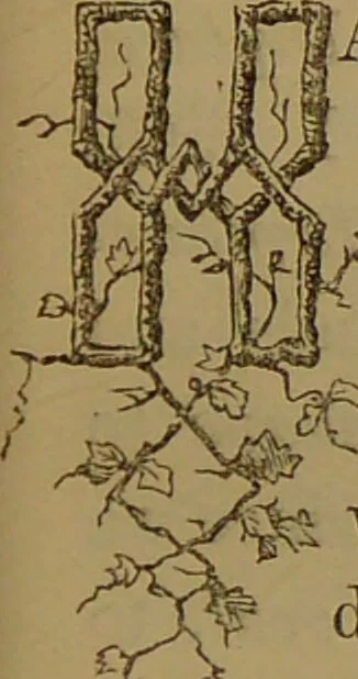 An illustration from The butterfly vivarium, or, Insect home: being an account of a new method of observing the curious metamorphoses of some of the most beautiful of our native insects. Comprising also a popular description of the habits and instincts of many of the insects of the various classes referred to; with suggestions for the successful study of entomology by means of an insect vivarium / by H. Noel Humphreys ... Illustrated with coloured engravings., 1858, leaf 57