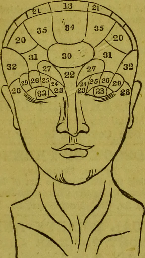 An illustration from The alphabet of phrenology / [by A.L. Vago]., 1880, leaf 5
