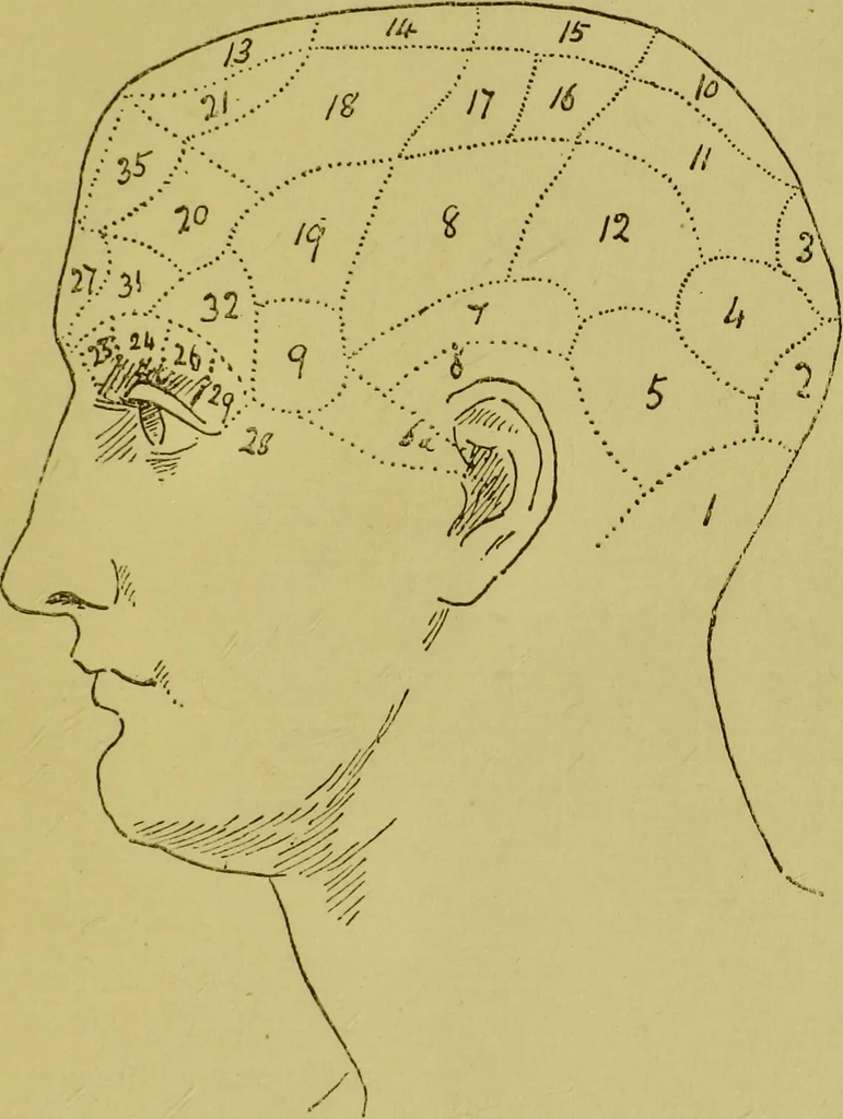 An illustration from Heads, and what they tell us : phrenological recollections / by W. Pugin Thornton., 1892, leaf 25